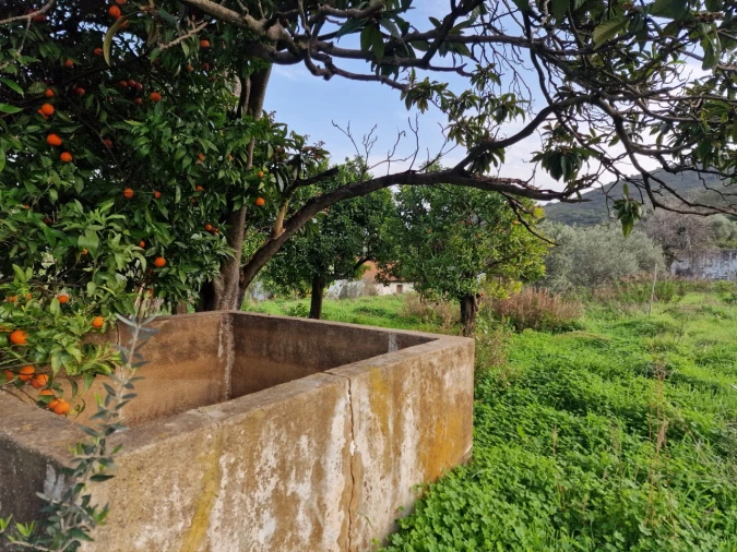 Quinta T2 para Venda em Santa Catarina da Fonte do Bispo Foto 20