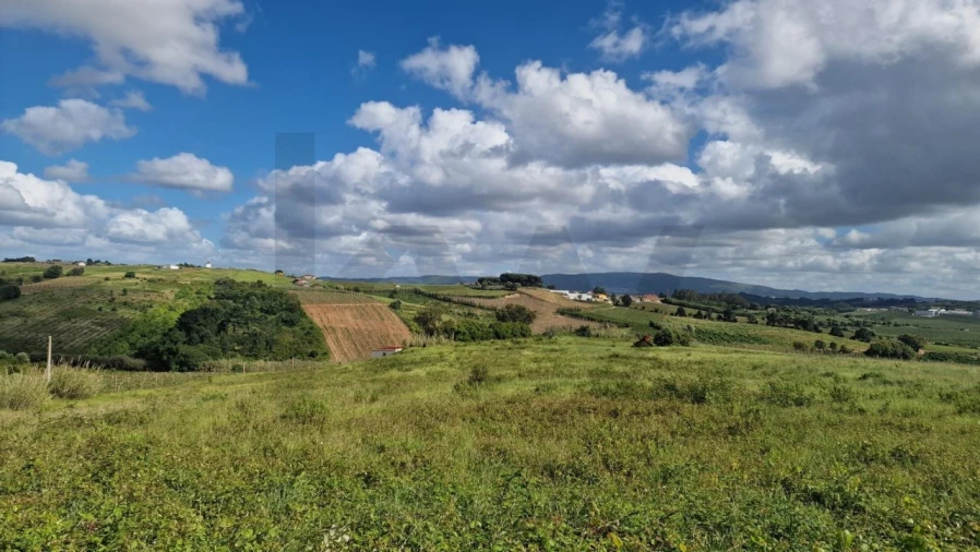 Terreno para Venda em Carvalhal Foto 10
