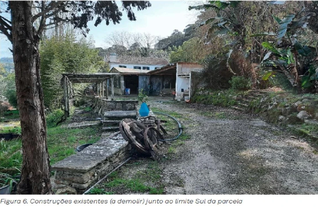 Terreno para Venda em Santa Maria e São Miguel, São Martinho, São Pedro Penaferrim Foto 10