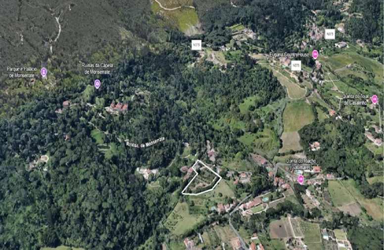 Terreno para Venda em Santa Maria e São Miguel, São Martinho, São Pedro Penaferrim Foto 7