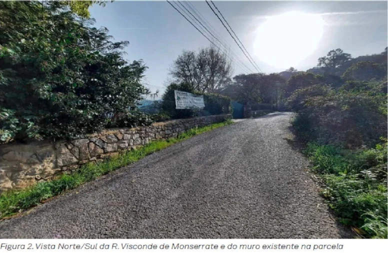 Terreno para Venda em Santa Maria e São Miguel, São Martinho, São Pedro Penaferrim Foto 9