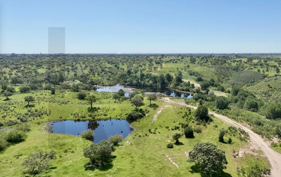 Terreno para Venda em Figueira dos Cavaleiros Foto 7