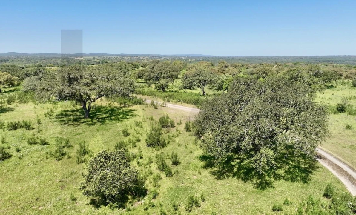 Terreno para Venda em Figueira dos Cavaleiros Foto 10