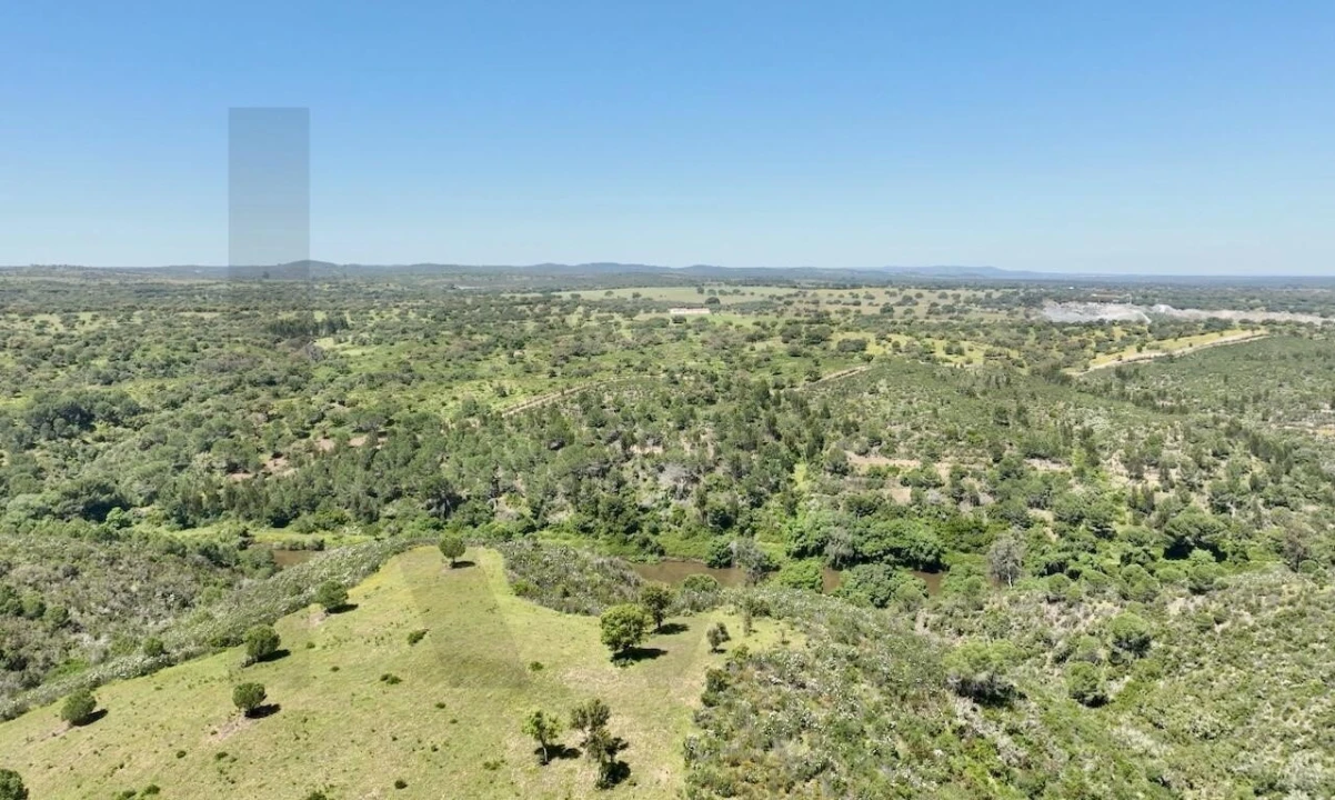 Terreno para Venda em Figueira dos Cavaleiros Foto 18