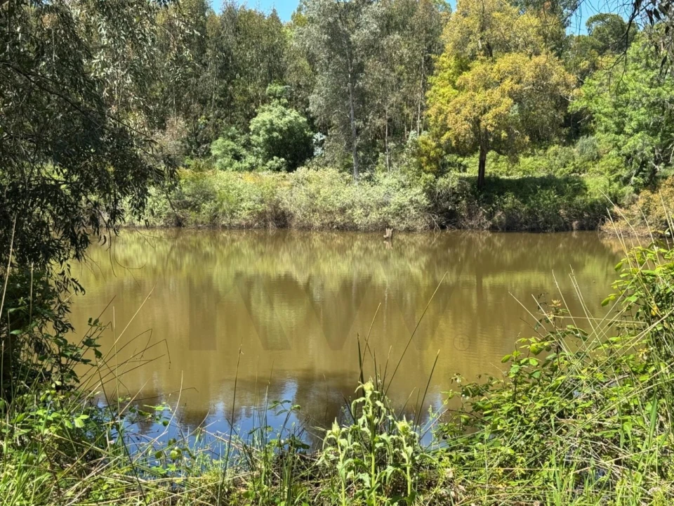 Terreno para Venda em Figueira dos Cavaleiros Foto 26