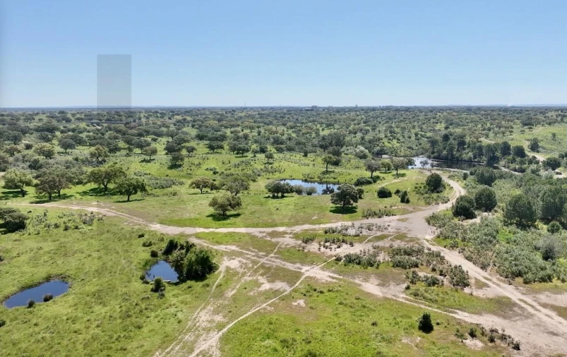 Terreno para Venda em Figueira dos Cavaleiros Foto 13