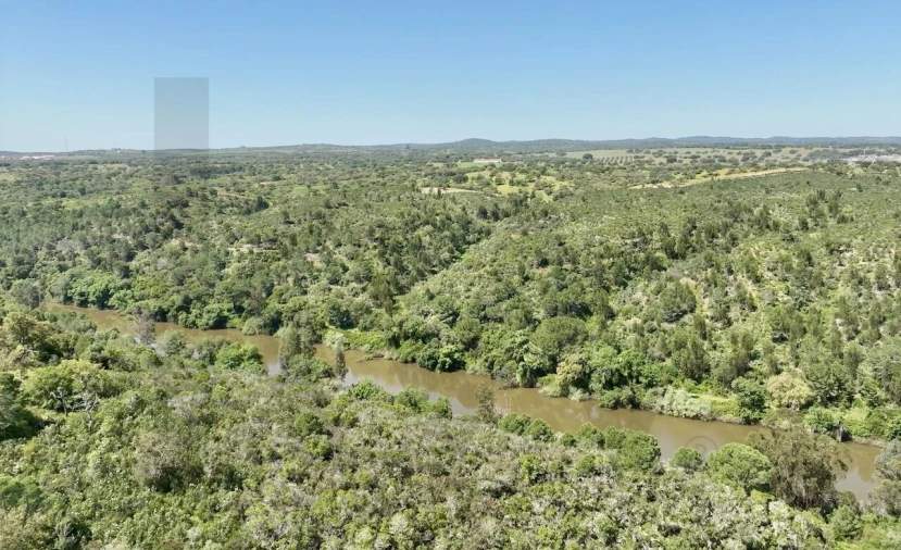 Terreno para Venda em Figueira dos Cavaleiros Foto 14