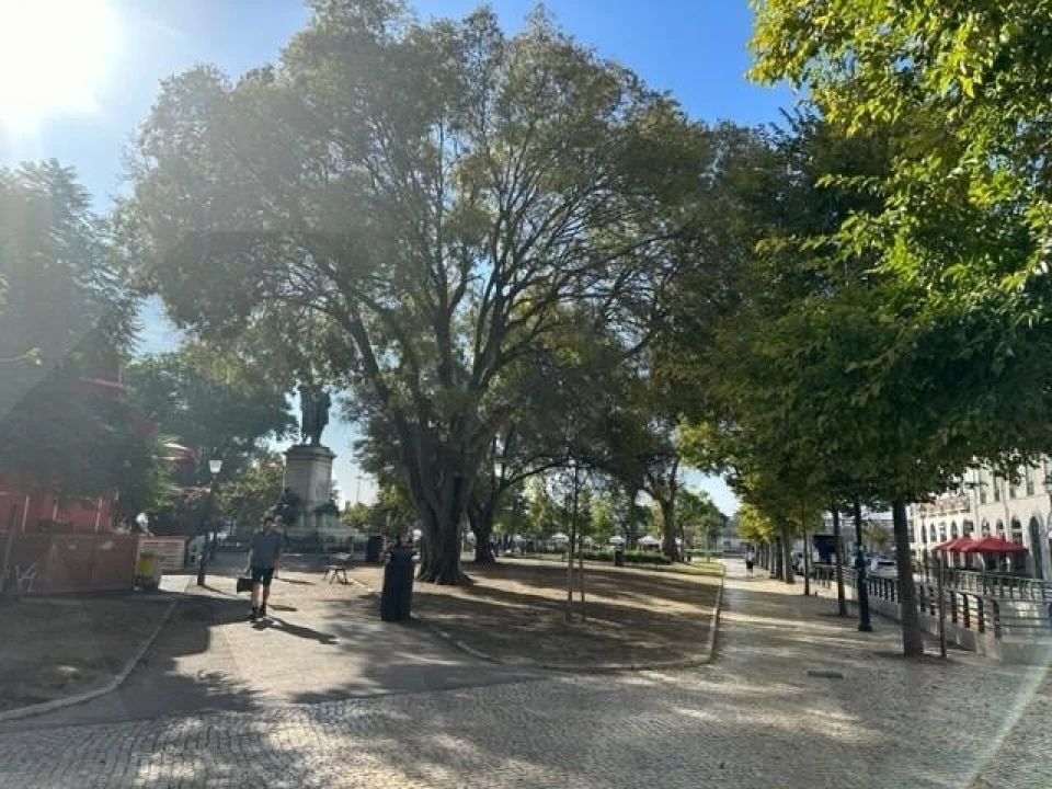 Apartamento T1 para Venda em Misericórdia Foto 4