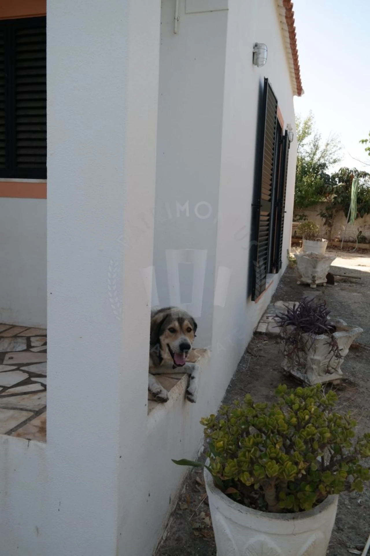 Quinta T4 para Venda em Mexilhoeira Grande Foto 5