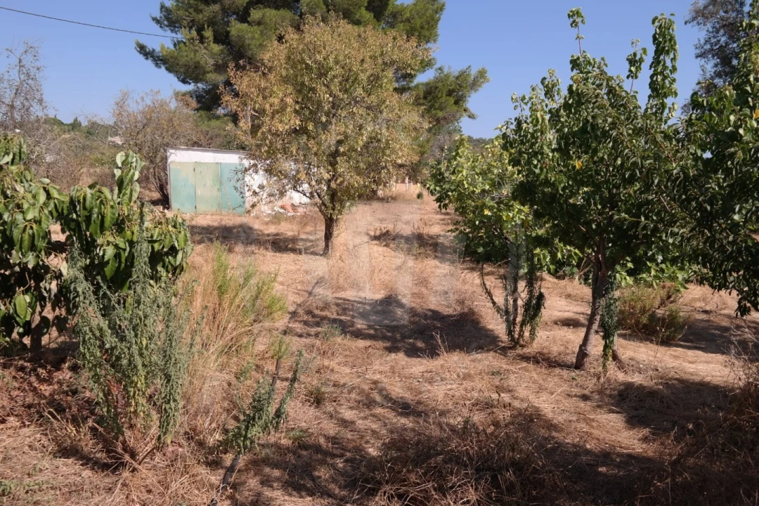 Quinta T4 para Venda em Mexilhoeira Grande Foto 9