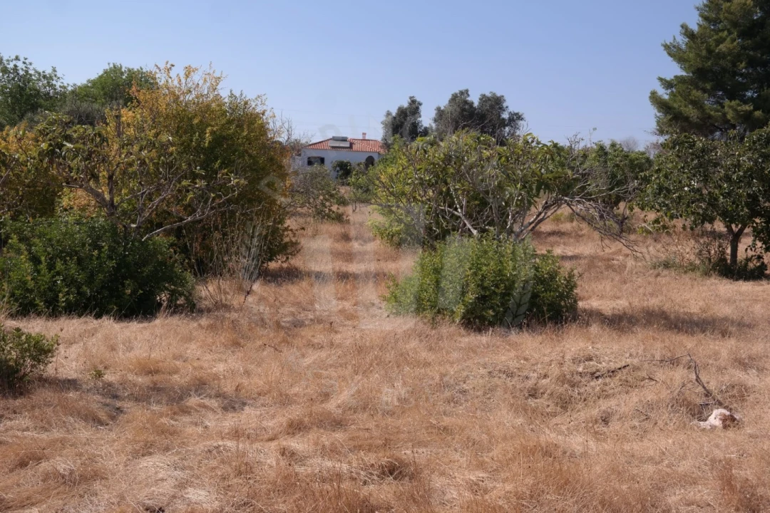 Quinta T4 para Venda em Mexilhoeira Grande Foto 11