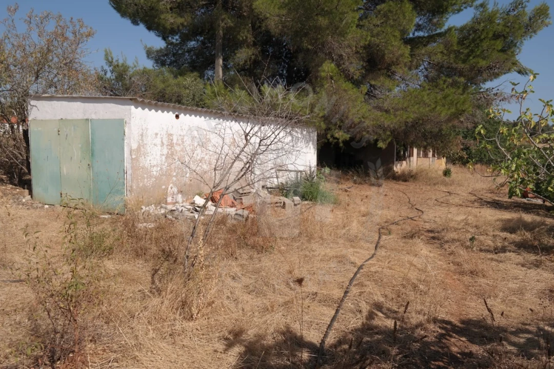 Quinta T4 para Venda em Mexilhoeira Grande Foto 12