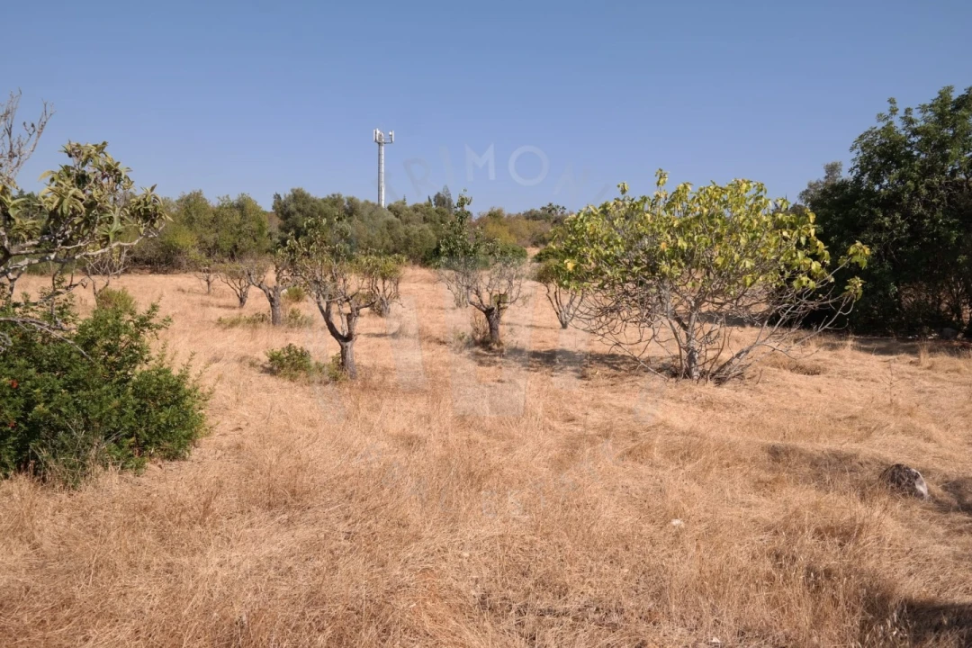 Quinta T4 para Venda em Mexilhoeira Grande Foto 14