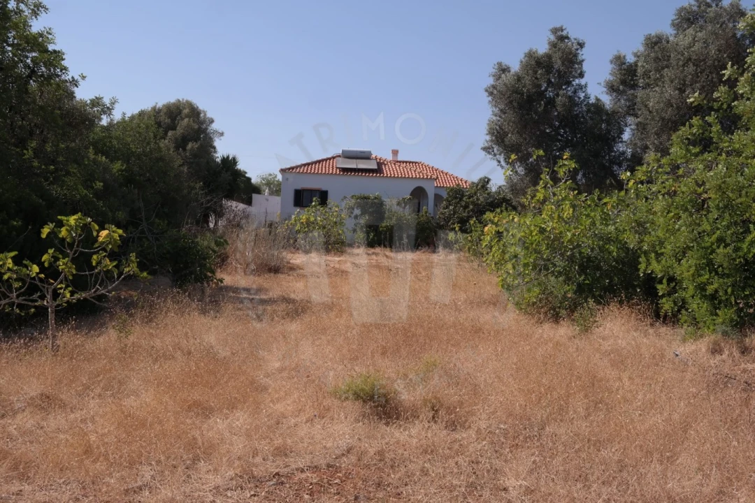 Quinta T4 para Venda em Mexilhoeira Grande Foto 15