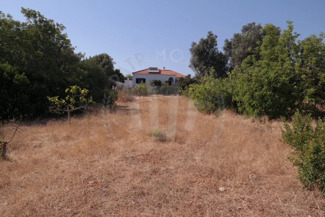 Quinta T4 para Venda em Mexilhoeira Grande Foto 17