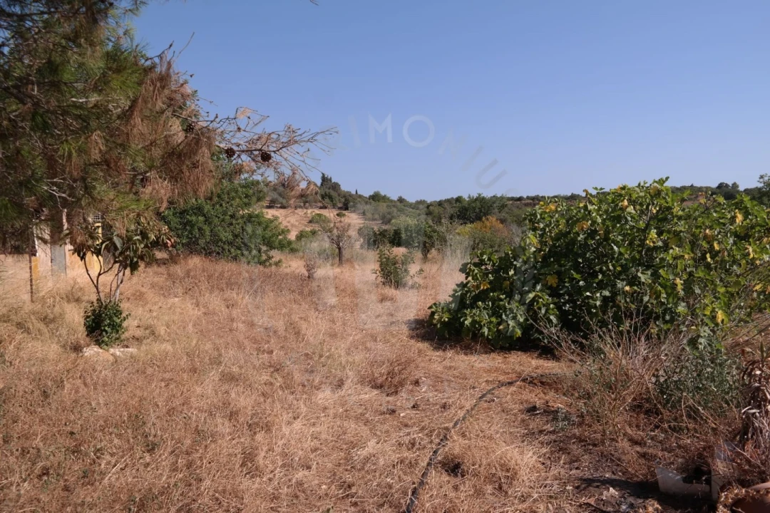 Quinta T4 para Venda em Mexilhoeira Grande Foto 20