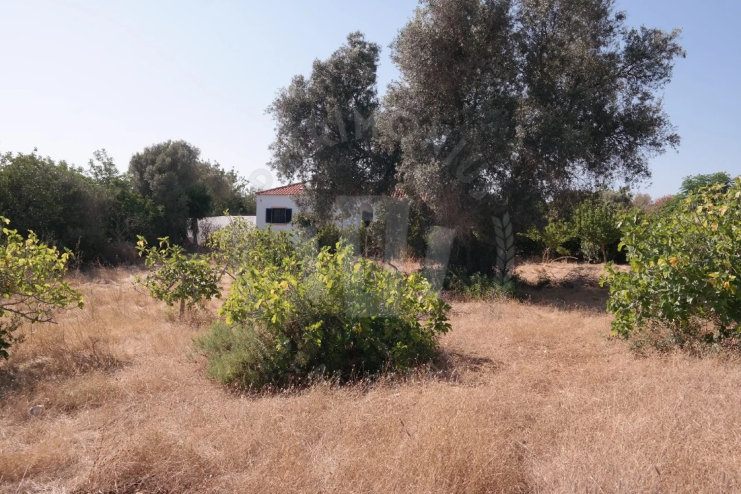 Quinta T4 para Venda em Mexilhoeira Grande Foto 22