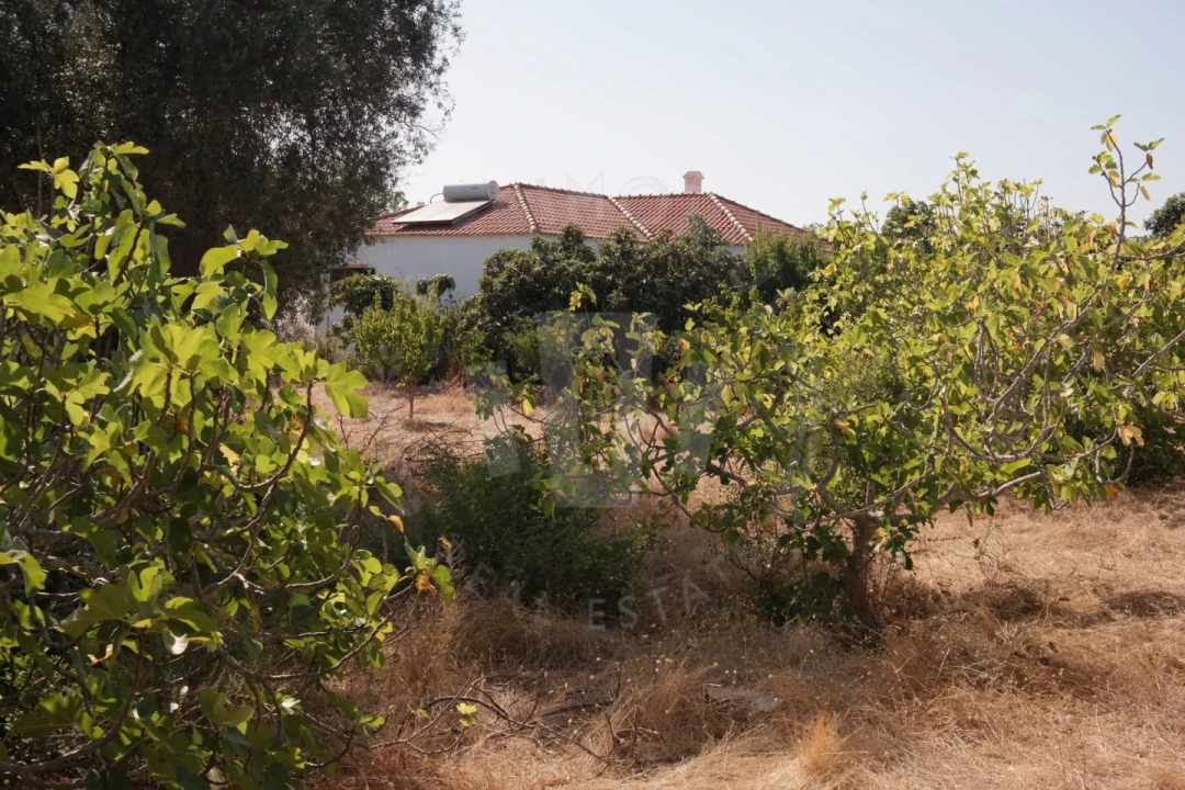 Quinta T4 para Venda em Mexilhoeira Grande Foto 23