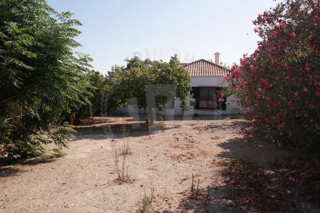 Quinta T4 para Venda em Mexilhoeira Grande Foto 26