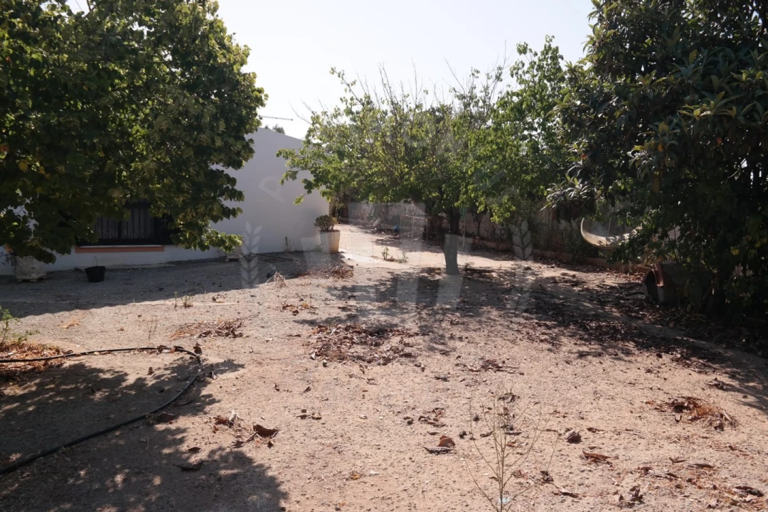 Quinta T4 para Venda em Mexilhoeira Grande Foto 27