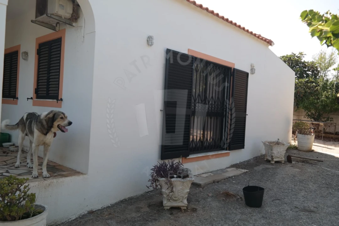 Quinta T4 para Venda em Mexilhoeira Grande Foto 31