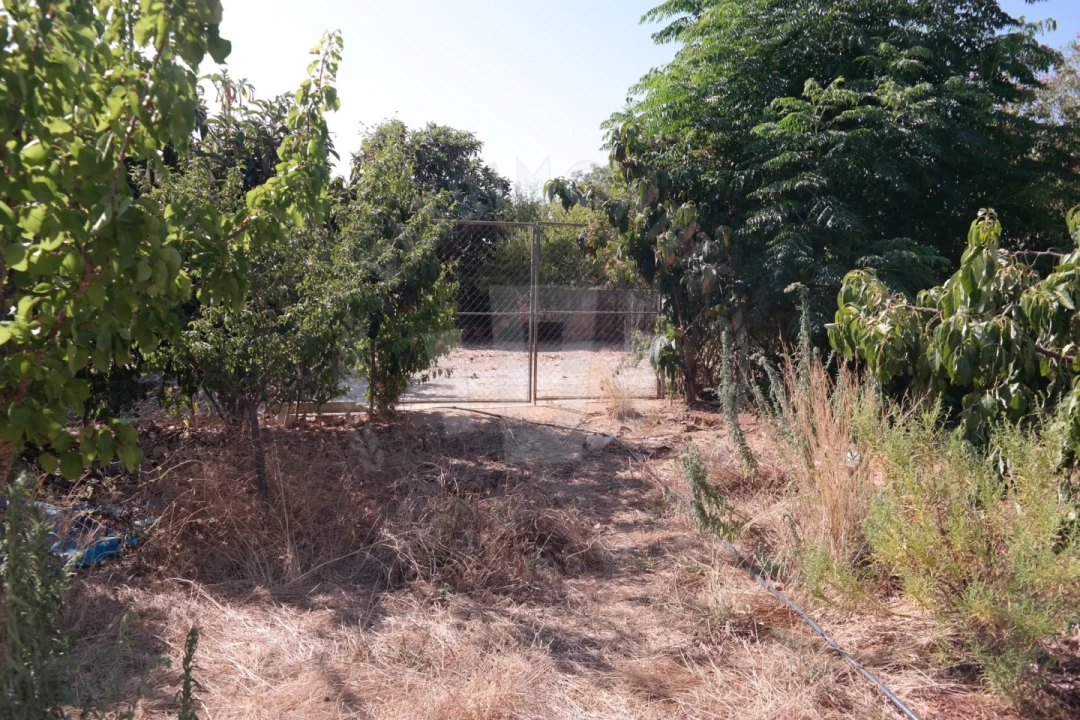 Quinta T4 para Venda em Mexilhoeira Grande Foto 36