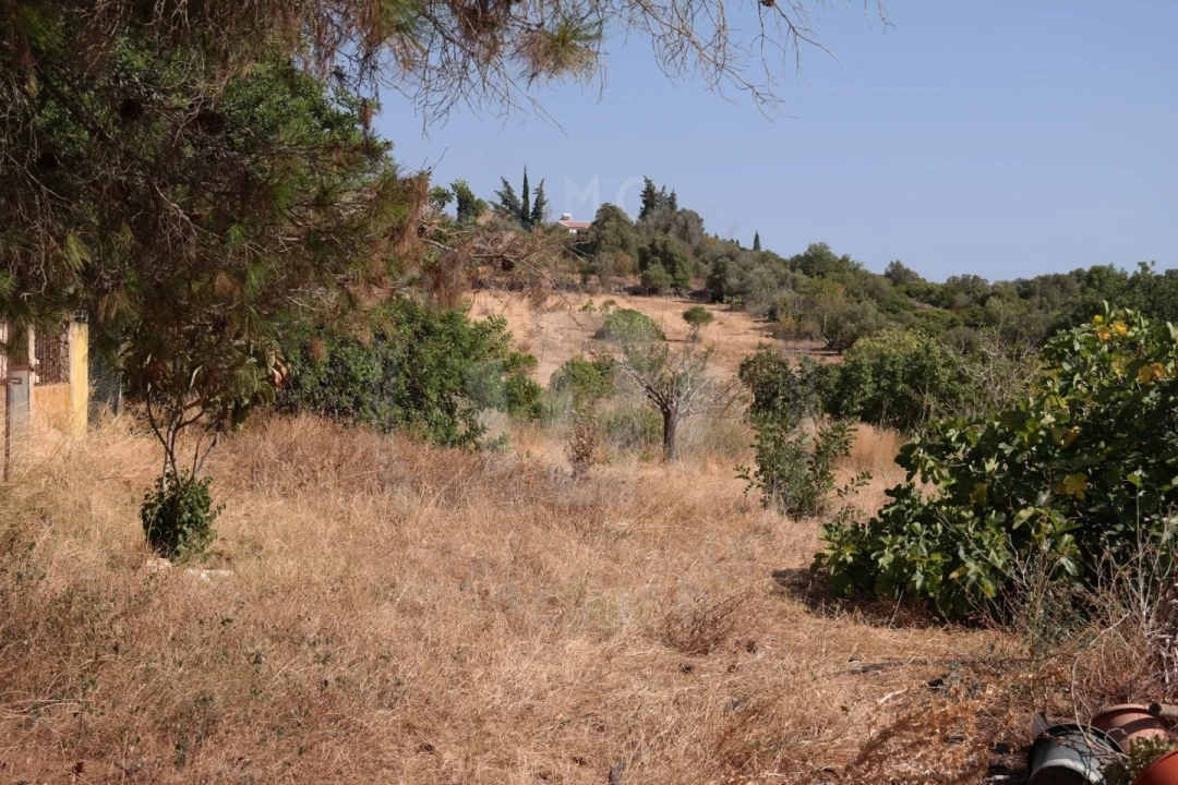 Quinta T4 para Venda em Mexilhoeira Grande Foto 37