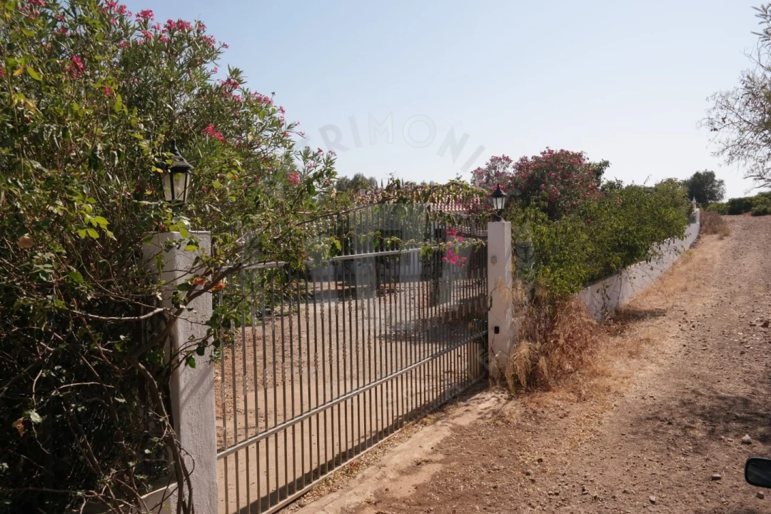 Quinta T4 para Venda em Mexilhoeira Grande Foto 45