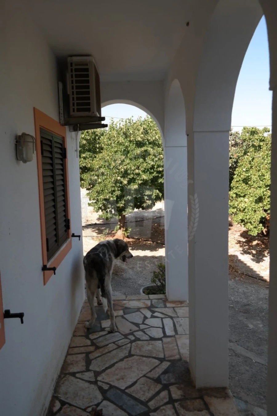 Quinta T4 para Venda em Mexilhoeira Grande Foto 3