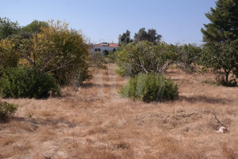 Quinta T4 para Venda em Mexilhoeira Grande Foto 11