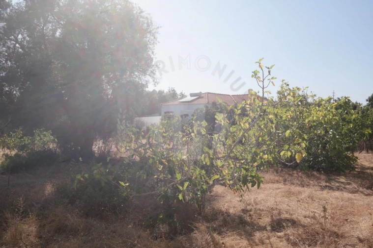 Quinta T4 para Venda em Mexilhoeira Grande Foto 21