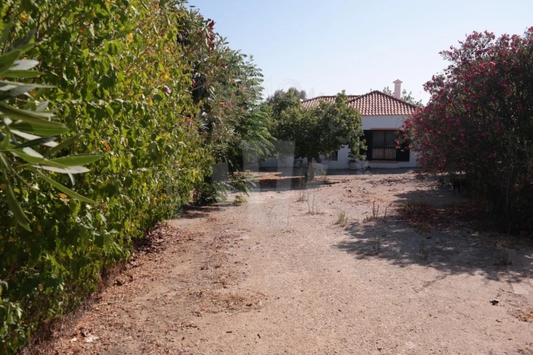 Quinta T4 para Venda em Mexilhoeira Grande Foto 48