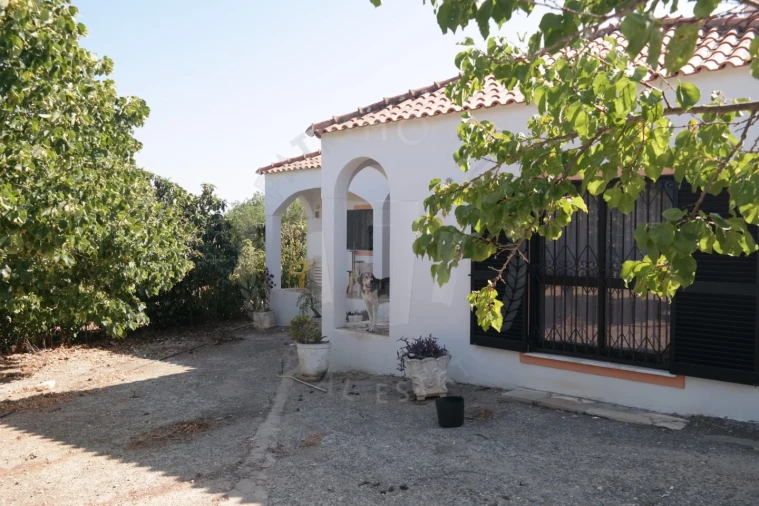 Quinta T4 para Venda em Mexilhoeira Grande Foto 49