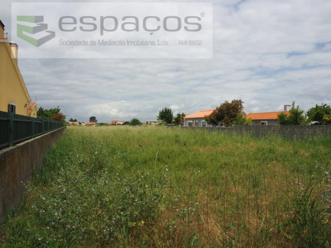 Terreno para Venda em Marinhais Foto 3