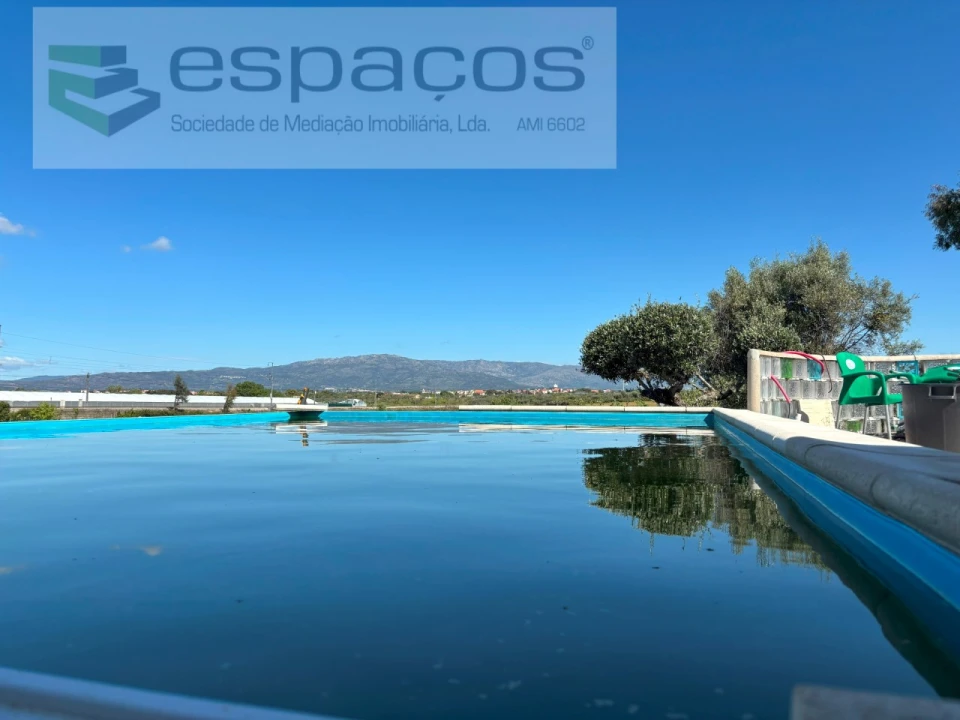 Quinta T3 para Venda em Lardosa Foto 2