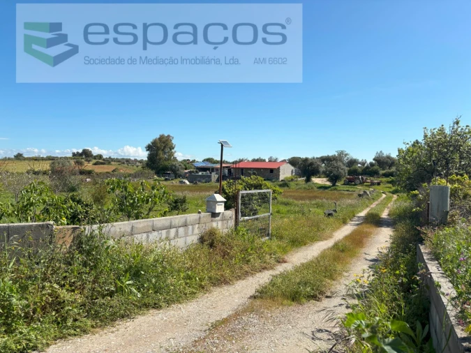 Quinta T3 para Venda em Lardosa Foto 6