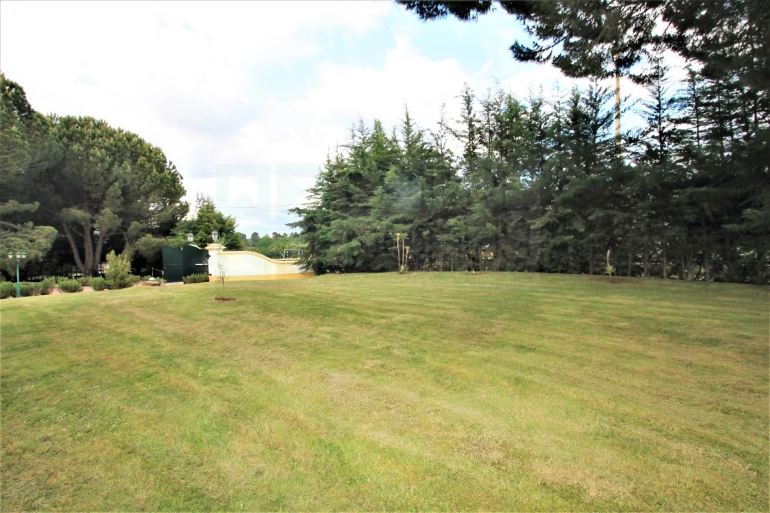 Moradia T4 para Venda em Santo Estêvão Foto 63