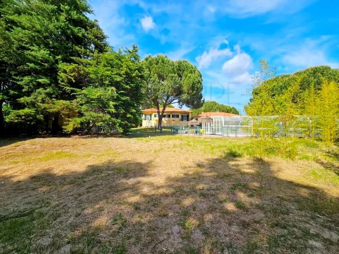 Moradia T4 para Venda em Santo Estêvão Foto 48