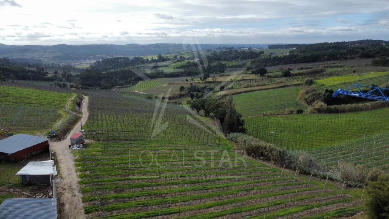 Moradia T4 para Venda em Cela Foto 8