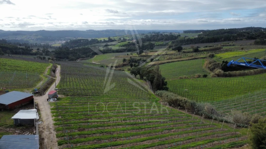 Moradia T4 para Venda em Cela Foto 8