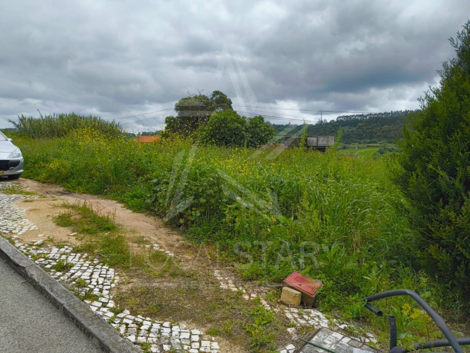 Terreno para Venda em Santa Catarina Foto 5