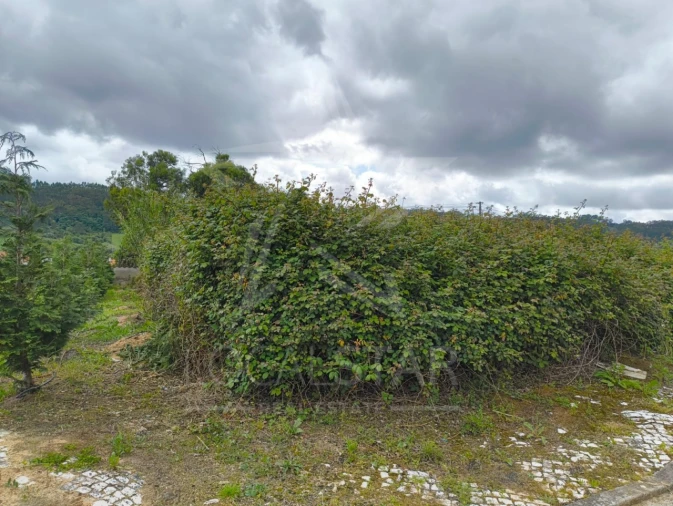 Terreno para Venda em Santa Catarina Foto 7