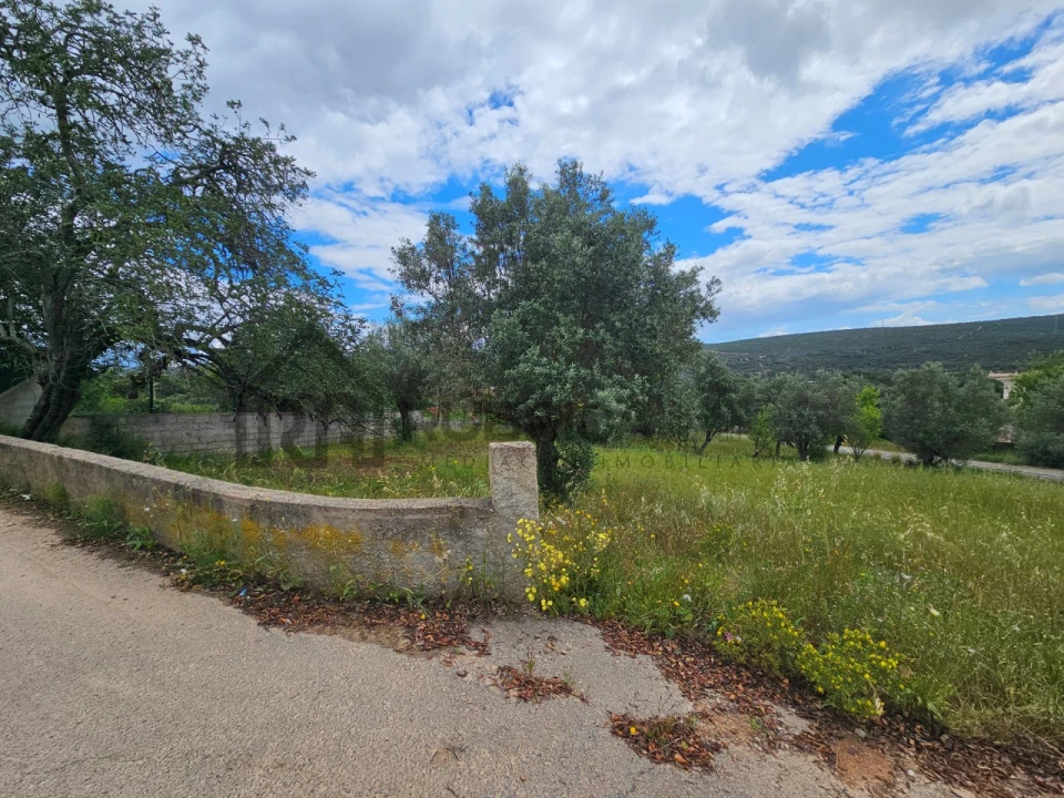 Terreno para Venda em Querença, Tôr e Benafim Foto 2