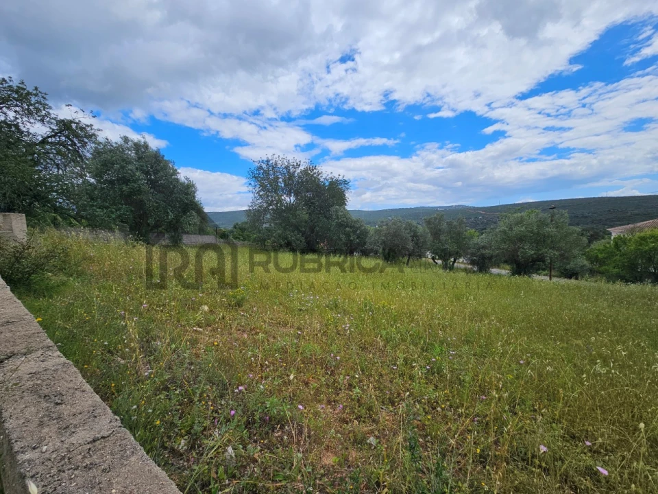 Terreno para Venda em Querença, Tôr e Benafim Foto 3