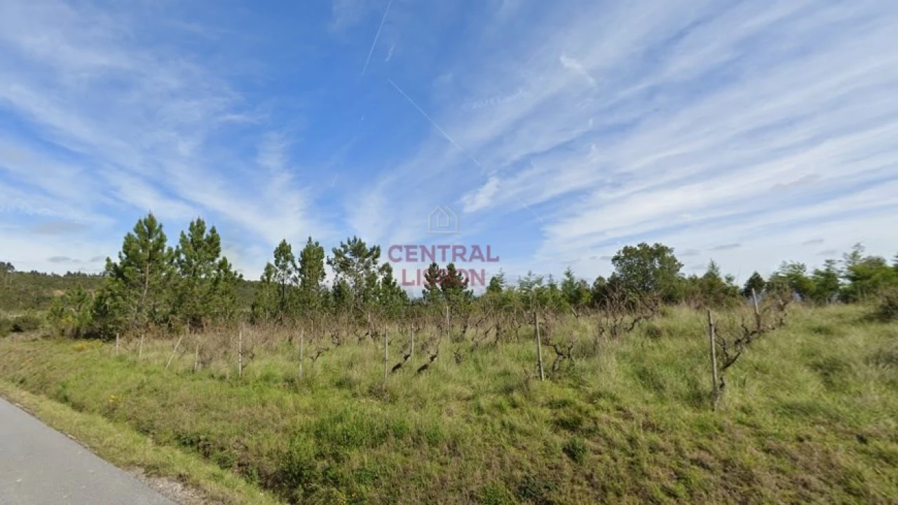 Terreno Agricola ou Rústico para Venda em Santa Clara e Castelo Viegas Foto 2