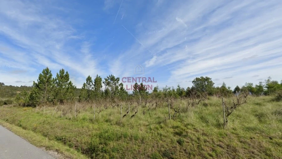 Terreno Agricola ou Rústico para Venda em Santa Clara e Castelo Viegas Foto 2
