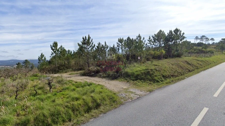 Terreno Agricola ou Rústico para Venda em Santa Clara e Castelo Viegas Foto 3