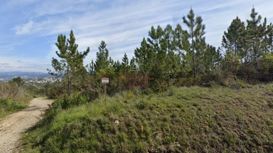 Terreno Agricola ou Rústico para Venda em Santa Clara e Castelo Viegas Foto 4