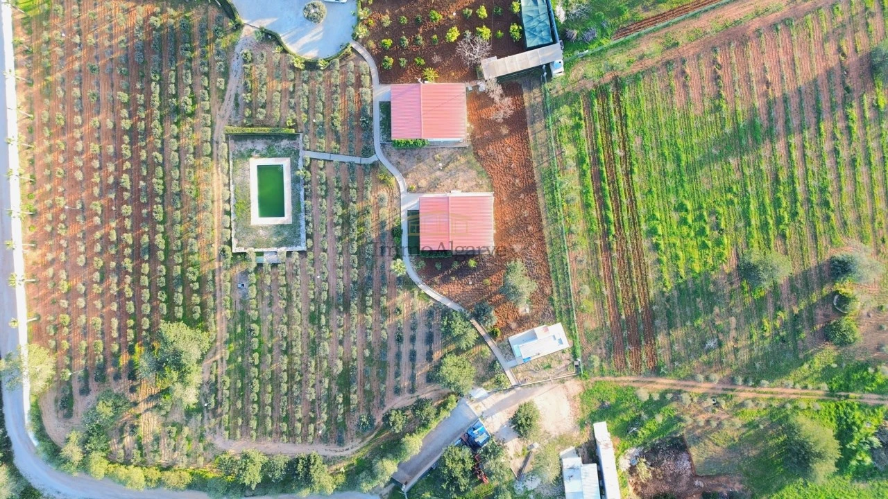 Moradia T5 para Venda em Guia Foto 3