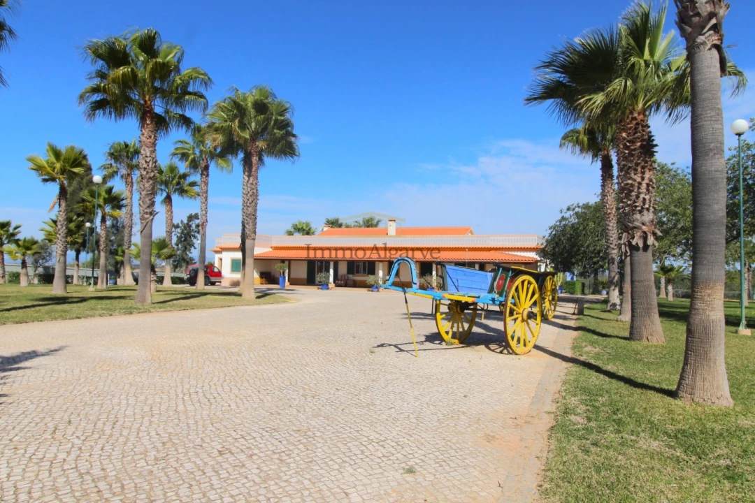 Moradia T5 para Venda em Guia Foto 11